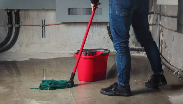Best Flood restoration services  in Bressler, PA