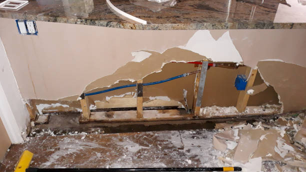 Best Water damage restoration near me  in Bressler, PA