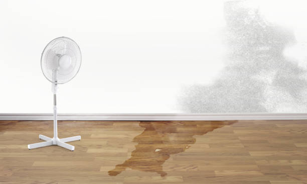 Best Water damage cleanup near me  in Bressler, PA