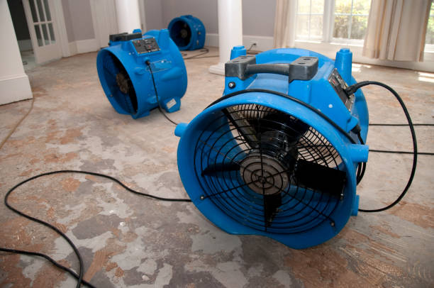 Best Mold removal after water damage  in Bressler, PA
