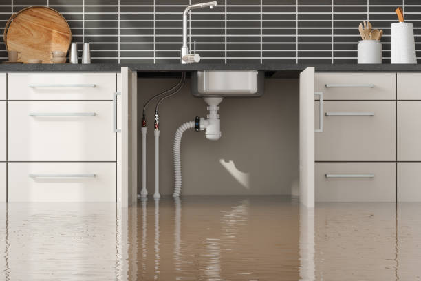 Best Flooded house restoration  in Bressler, PA