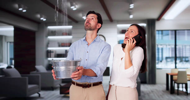Best Water damage contractors near me  in Bressler, PA