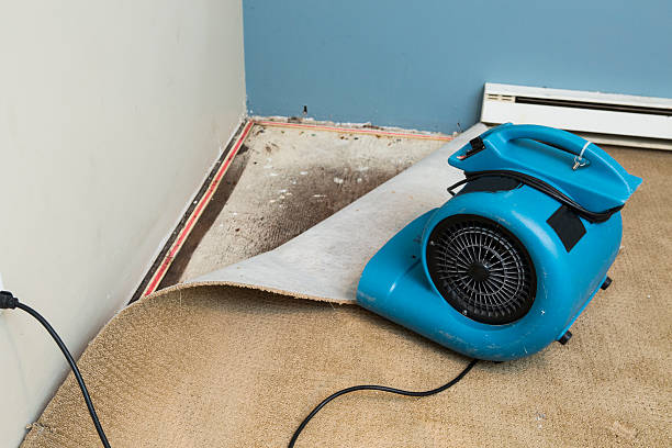 Best Ceiling water damage repair  in Bressler, PA
